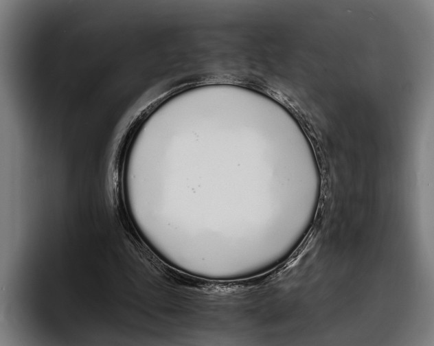 X0000094080343200711161612