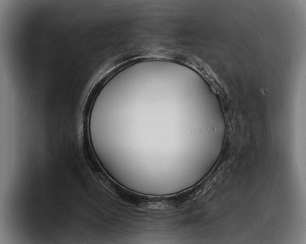 X0000094080344200711161612
