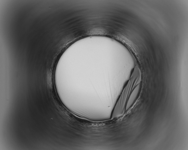 X0000094080345200711161612