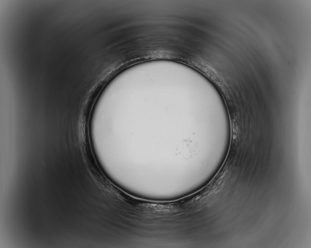 X0000094080347200711161612