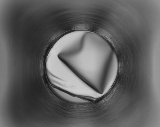 X0000094080349200711161612