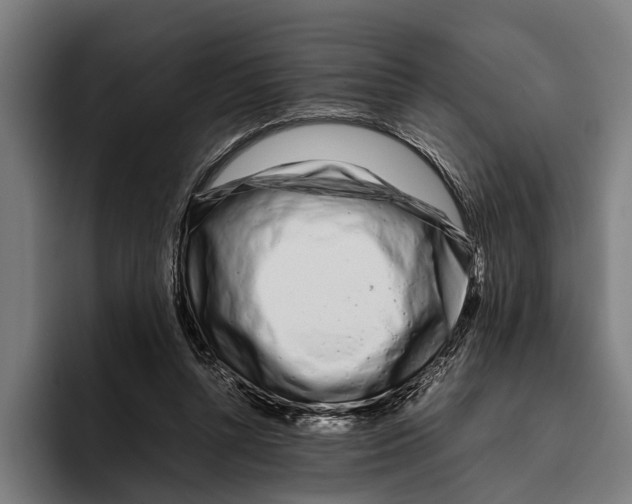 X0000094080352200711161612