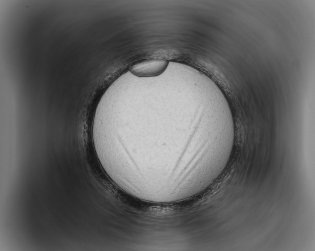 X0000094080354200711161612