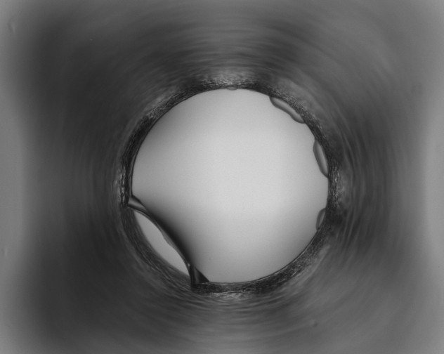 X0000094080356200711161612