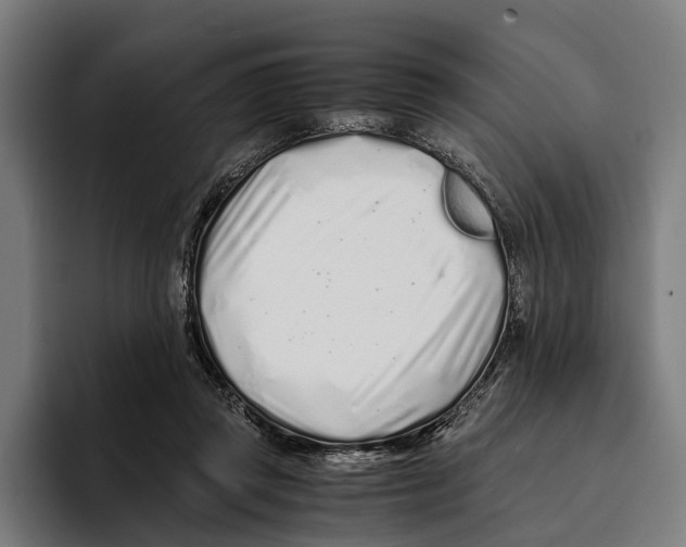 X0000094080357200711161612