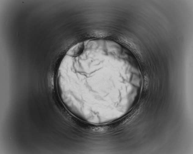 X0000094080358200711161612