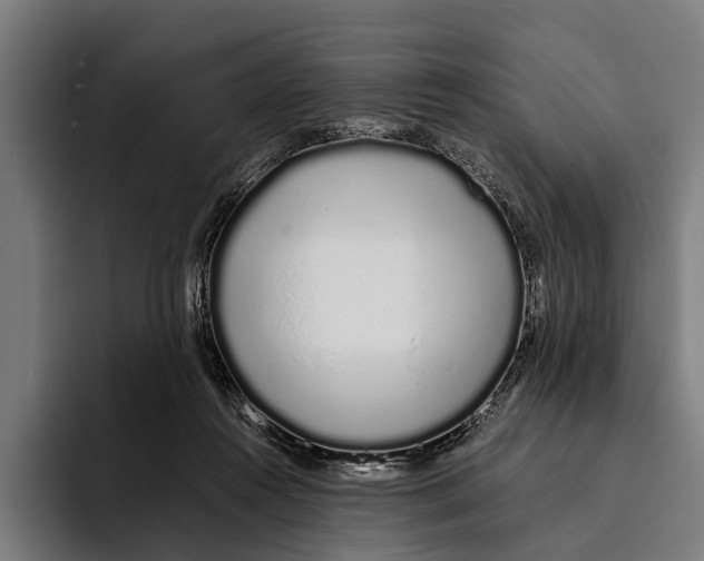 X0000094080360200711161612