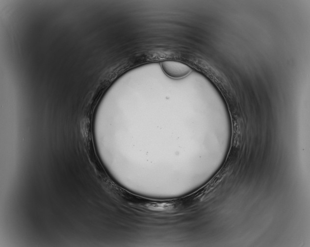 X0000094080361200711161612