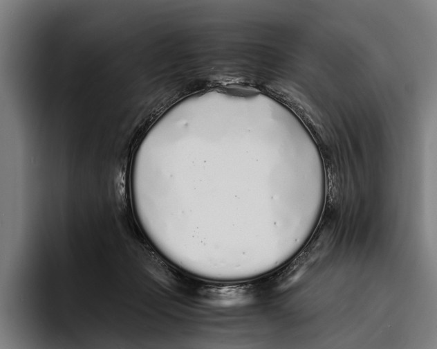 X0000094080365200711161612