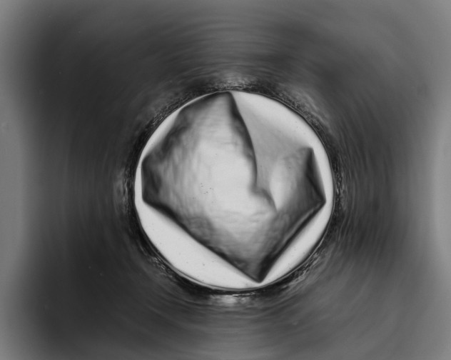 X0000094080366200711161612