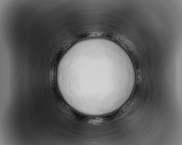 X0000094080369200711161612