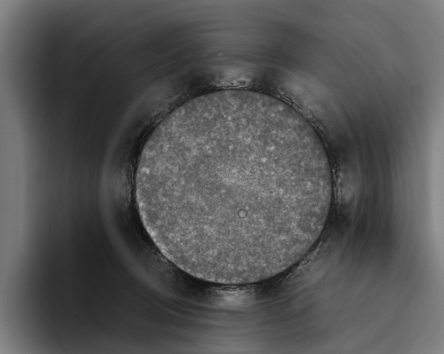 X0000094080370200711161612