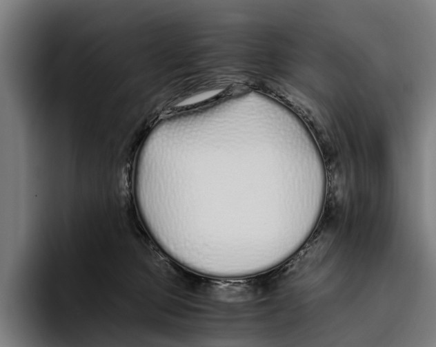 X0000094080373200711161612
