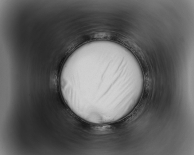 X0000094080375200711161612