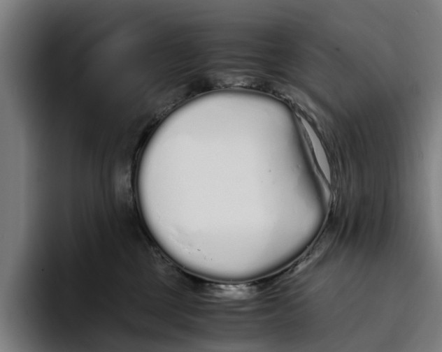 X0000094080377200711161612