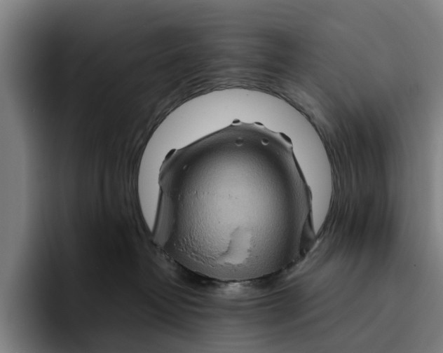 X0000094080382200711161612