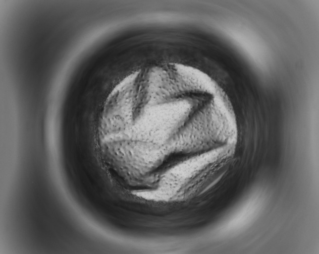 X0000094080383200711161612