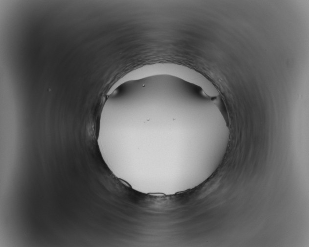 X0000094080384200711161612