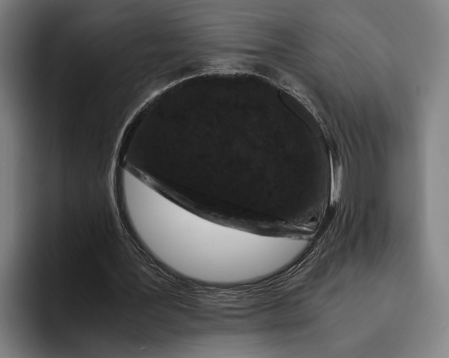 X0000094080387200711161611