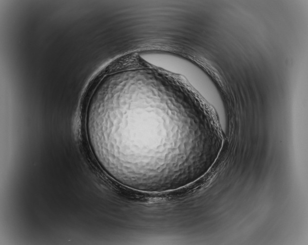 X0000094080388200711161611