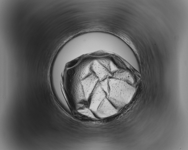 X0000094080389200711161611