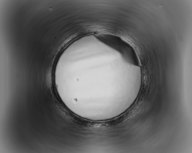 X0000094080390200711161611