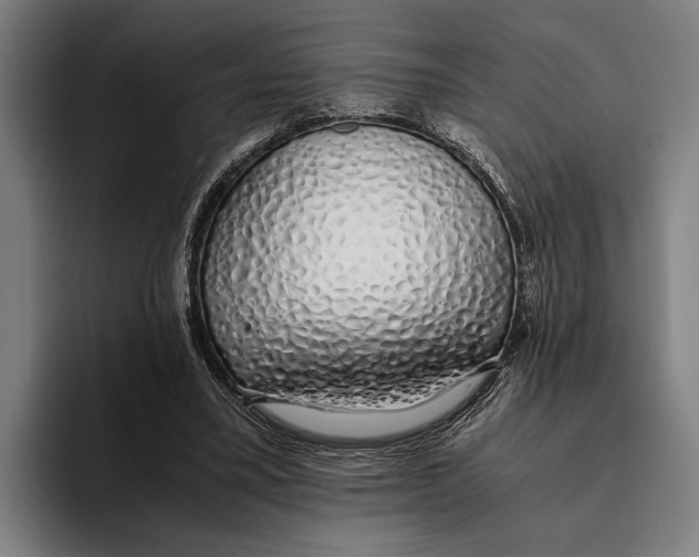 X0000094080395200711161611