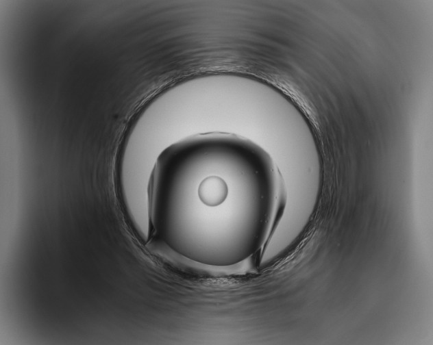X0000094080397200711161611