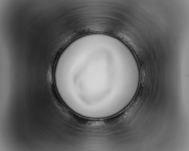 X0000094080398200711161611