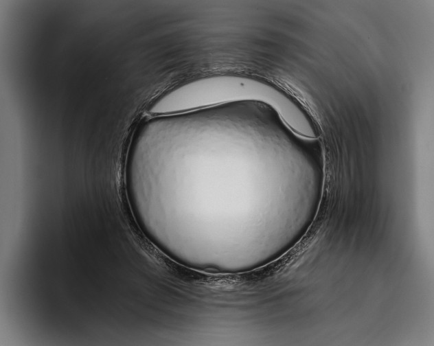 X0000094080401200711161611