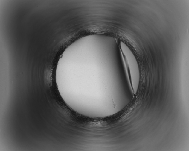 X0000094080404200711161611