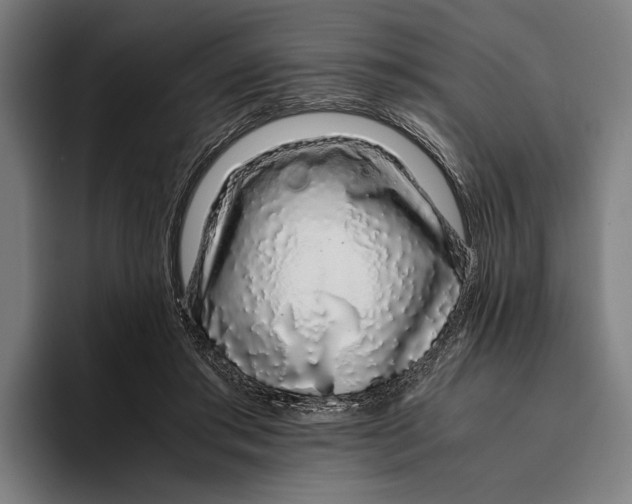 X0000094080405200711161611