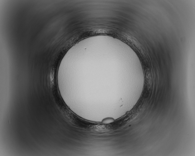 X0000094080406200711161611
