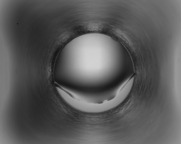 X0000094080407200711161611