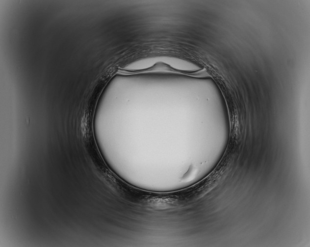 X0000094080408200711161611