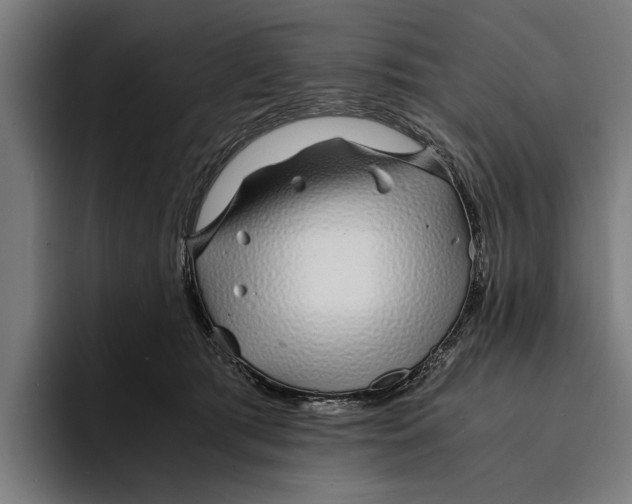 X0000094080417200711161611