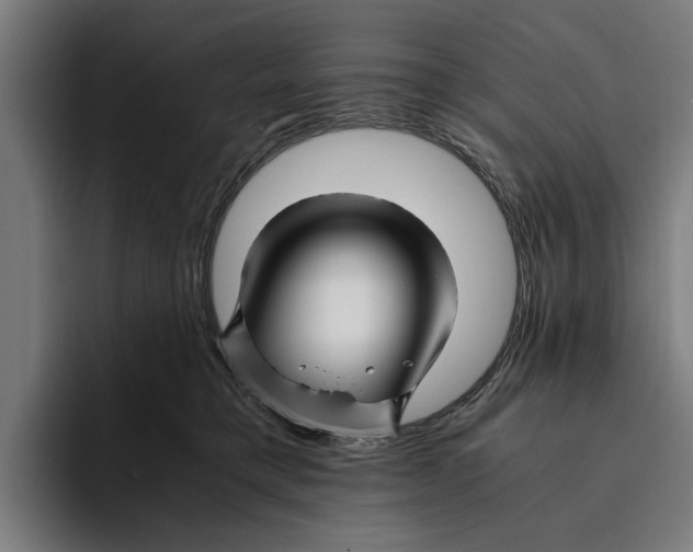 X0000094080421200711161611