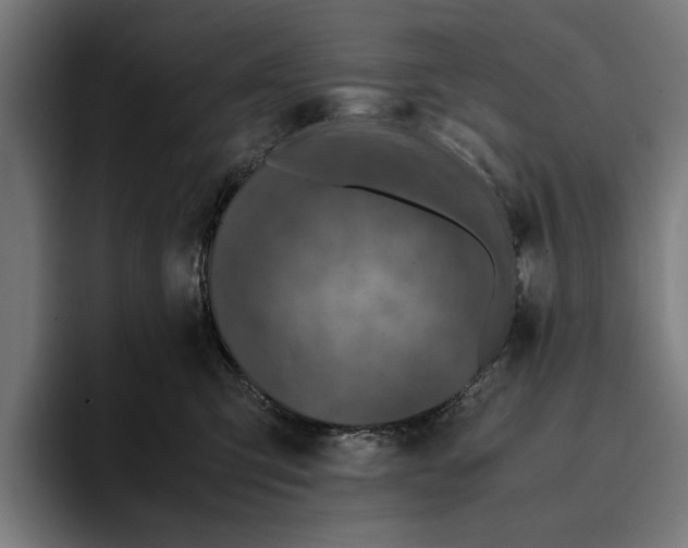 X0000094080423200711161611