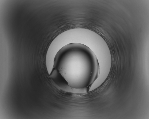 X0000094080425200711161611