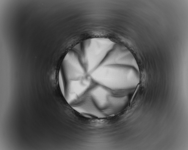 X0000094080428200711161611