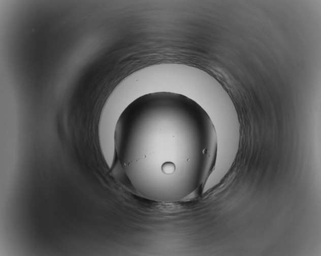 X0000094080429200711161611