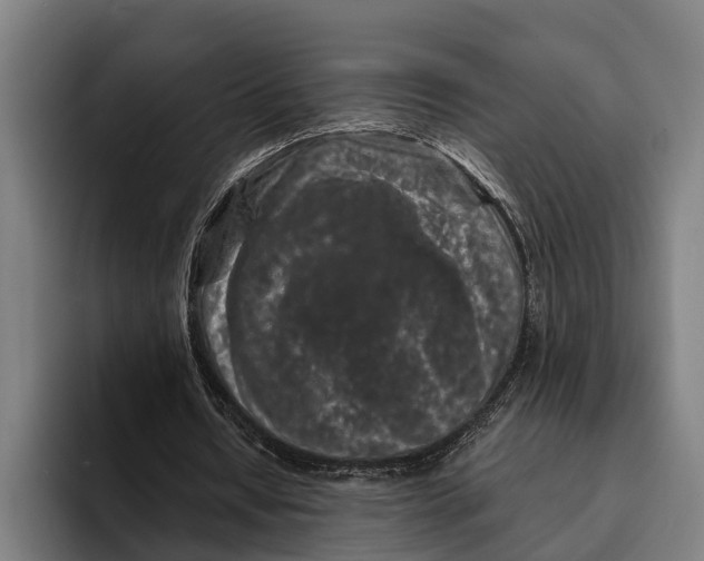 X0000094080434200711161610
