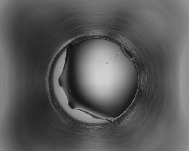 X0000094080436200711161610