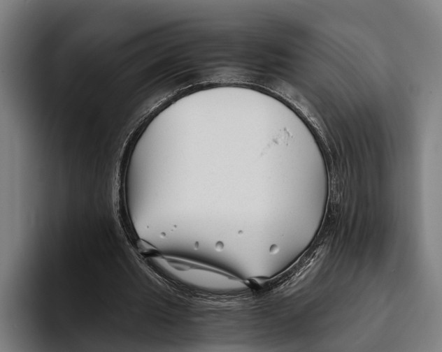 X0000094080437200711161610