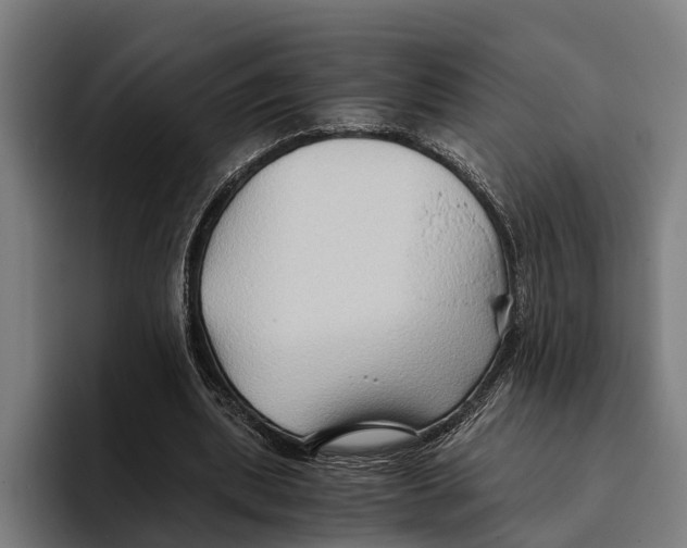 X0000094080439200711161610