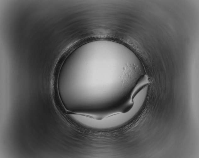 X0000094080440200711161610