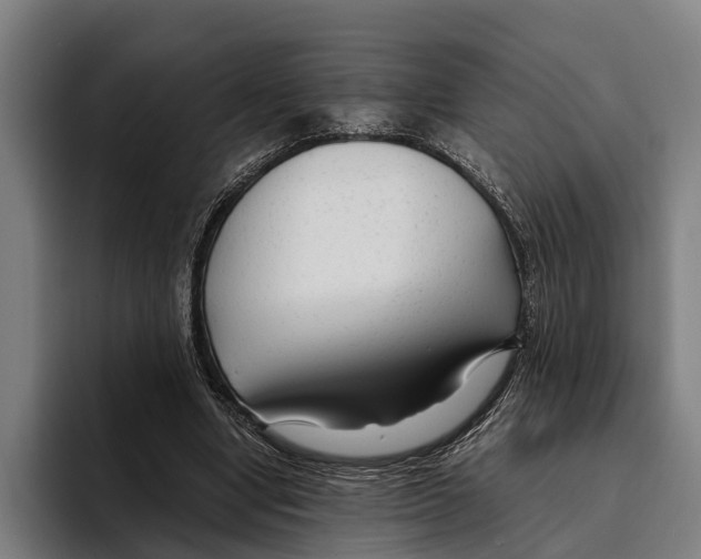 X0000094080442200711161610