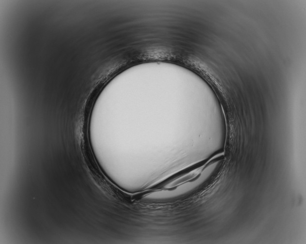 X0000094080443200711161610