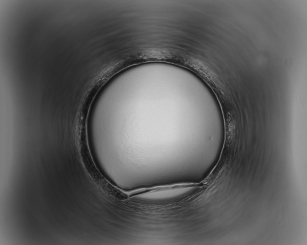 X0000094080444200711161610