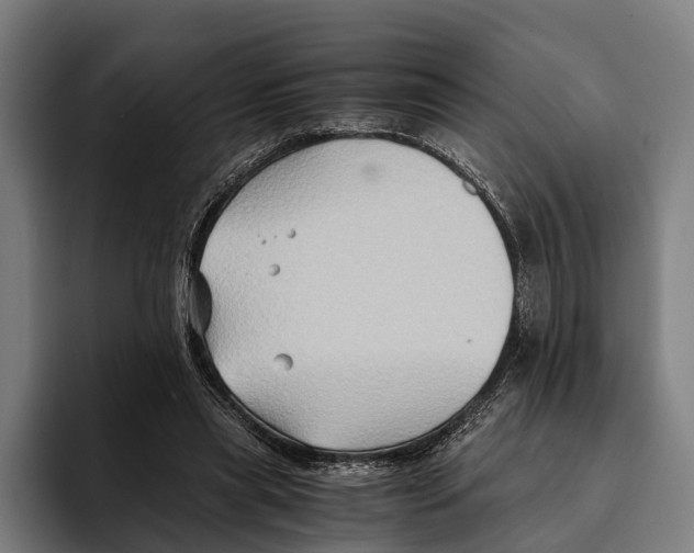 X0000094080445200711161610